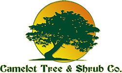 Camelot Tree & Shrub Logo