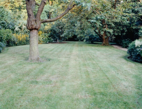 Lawn Turning Brown? Meet Moisture Manager