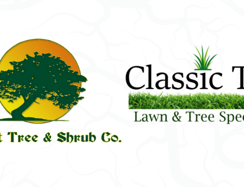 Camelot Acquires Classic Turf’s Tree, Shrub & Lawn Care Division