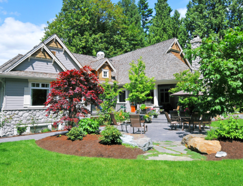 Summer Is in Full Swing. Is Your Landscape Feeling the Stress?